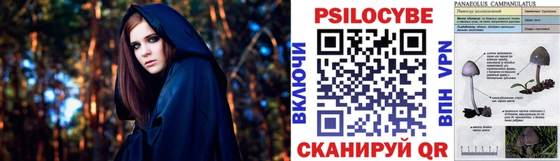 Купить  Светлогорск  Псилоцибиновые грибы мицелий 